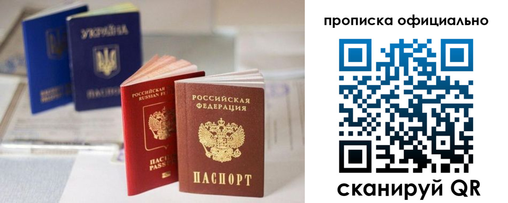 прописка поиск в Камышине